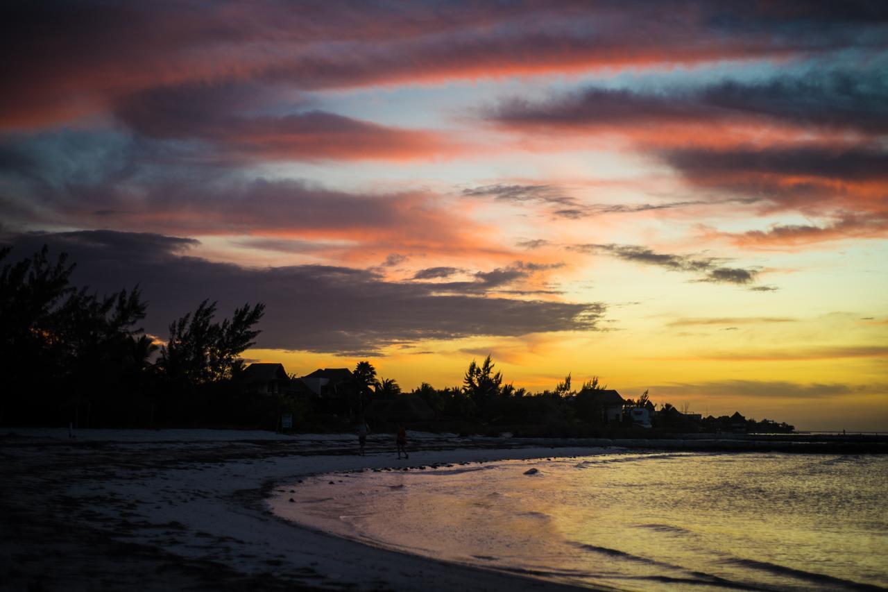 La Chaya Holbox Hotel Buitenkant foto